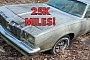 This Oldsmobile Cutlass Parked Since 1990 Is a Survivor With Just 25K Miles