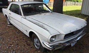 This One-Owner 1966 Ford Mustang Looks Better Than 99 Percent of Barn Finds