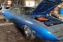 This Plymouth Superbird Spent 15 Years in a Barn, Now Roams Freely
