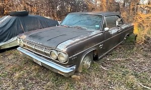 This Rare 1965 Rambler Classic 770 Is Going to Waste in an AMC-Packed Backyard