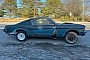 This Raven Black 1965 Ford Mustang Fastback Should Sell With a Free Tetanus Shot