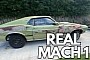This Rough 1969 Ford Mustang Mach 1 Is Still Complete, Definitely the Real Deal