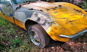 This Rusty 1969 Chevrolet Corvette 427 Parked in the Forest Is Ridiculously Cool