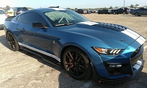 This Shelby GT500 Had One Too Many Drinks, Needs To Get the Liquid Out of Its System