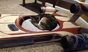 Star Wars Landspeeder is the Best Cat Bed Ever