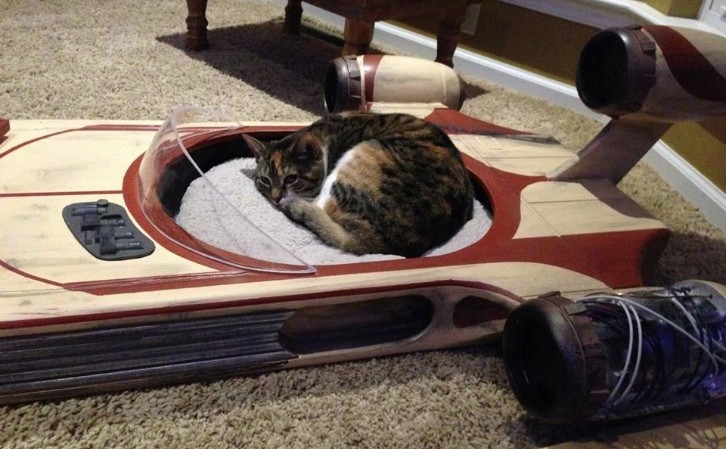 This Star Wars Landspeeder Is the Best Cat Bed for Your Pet 