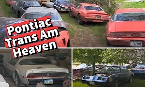 This Stash of Over 50 Trans Ams Is Classic Pontiac Heaven
