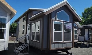 This Tiny Home Feels Luxuriously Large, Has Enough Room for a Growing Family