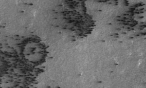 Those Are Not Armies of Ants Duking It Out on Mars, Brain Thinks Them So