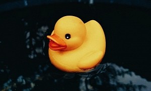 Three Decades Ago, an Army of Rubber Ducks Took to the Seas Instead of Bathtubs