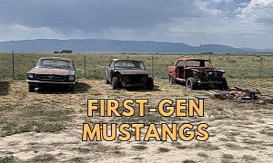 Three Ford Mustangs and Four Engines Sitting in a Field, They All Need Help