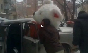 Three Men Try to Fit Giant Teddy Bear into Volga in Russia