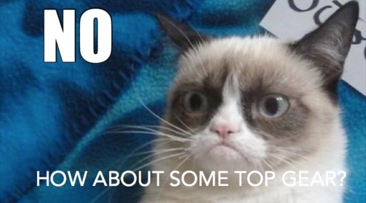 Grumpy cat wants Top Gear
