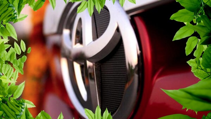 Toyota Badge With Green Leafs