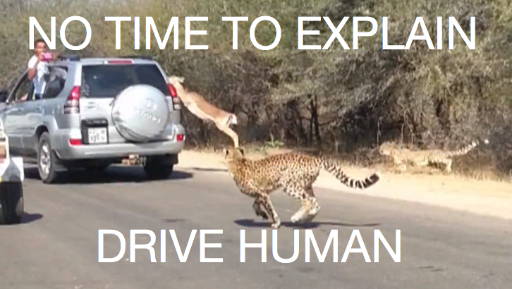 Drive human
