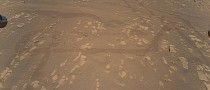Tracks Made by Perseverance Show Up in the First Aerial Color Photo of Mars