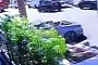 Tree-Hugging Ford Mustang Caught on CCTV, Stupid Crash Is Stupid