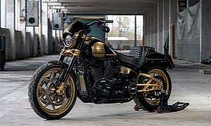 TRP-Pro Could Be the Birth of a Series of German-Bred Performance Harleys