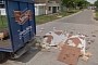 Truck Driver Turned Internet Celebrity After Huge Spill Is Caught on Google Maps