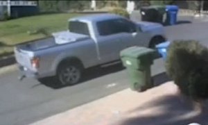 Truck Driver Turns Himself In for Deliberately Running Over Peacocks