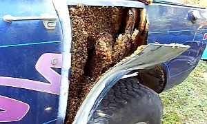 Pickup Truck Owner Finds Thousands of Bees Between the Body Panels