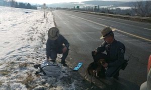 Trucker Saves Dogs Thrown From SUV, With Help From New York State Police
