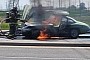 True Collector Tragedy: Mercedes-Benz 300 SL Gullwing Burnt to a Crisp