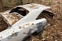Try Not to Cry As You Check Out This 1968 Dodge Charger Found in the Woods