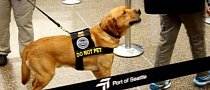 TSA to Use More Floppy-Eared Dogs at Airport Because Kids Aren’t Scared of Them