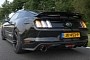 Tuned Ford Mustang EcoBoost Goes for a Top Speed Run on the Autobahn, Barely Hits 140 MPH
