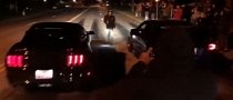 UPDATE: Tuned Ford Mustang GT Drag Races Modded Subaru STI, The Fight Is Brutal