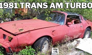 Turbocharged 1981 Pontiac Trans Am Sleeping in the Bushes Is All-Original and Unmolested