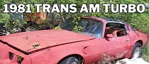 Turbocharged 1981 Pontiac Trans Am Sleeping in the Bushes Is All-Original and Unmolested