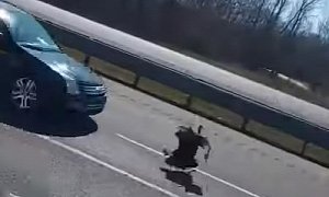 Turkey Breaks Into Truck And Escapes, to be Run Over by Incoming Ford Fusion