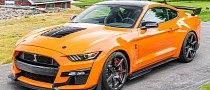 Twister Orange 2020 Mustang Shelby GT500 With Carbon Fiber Pack Bows Down to No Car
