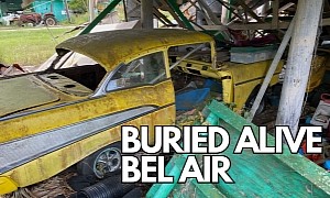 Two Buried Alive 1957 Chevrolet Bel Airs Found in a Barn, No Good News With One Exception