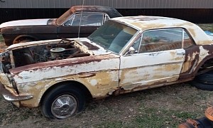 Two Rough 1965 Ford Mustangs Look Ready to Create One Almighty Pony