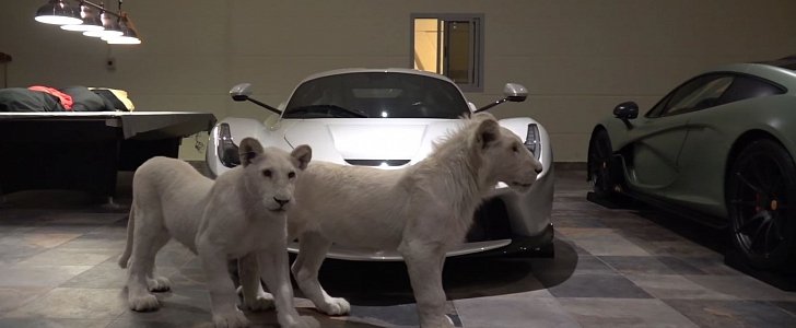 Two White Lion Cubs Jon White LaFerrari and Matte Green P1 in Man Cave