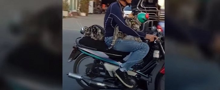 Cars ride on motorcycle