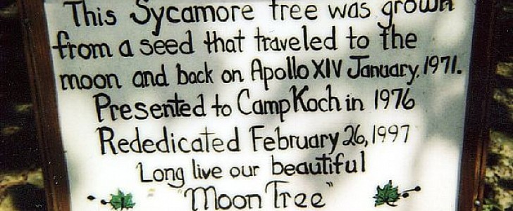 Sign attesting a particular tree was born from seeds that went to the Moon