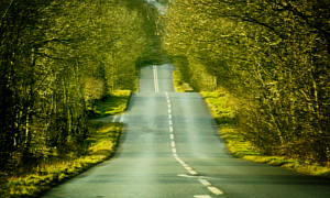 UK Male Drivers Tend to Risk More on Rural Roads