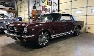 Unrestored 1965 Ford Mustang Flexes Immaculate Everything, Amazing A-Code Survivor