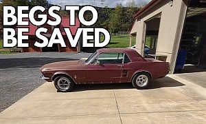 Unrestored 1967 Ford Mustang S-Code Flexes Original Muscle, Typical Metal Struggle