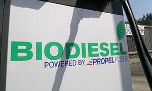 US Airport Buses to Be Converted to Biodiesel