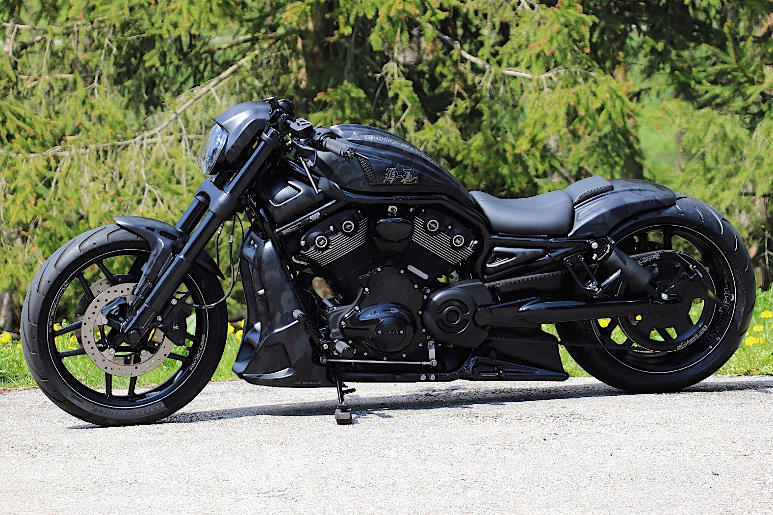 Used Harley-Davidson Night Rod Special Gets the German Touch, and