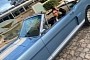 Vanessa Hudgens Casually Chills in Her "Dream Car," a 1965 Mustang GT350