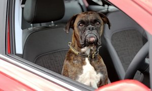 Vauxhall Asks Why Parallel Park When You Can Parallel Bark?