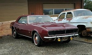 Very Rare 1967 Chevrolet Camaro “Should Be Showcased in a Museum”