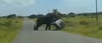 Video: Elephant Attacks Ford EcoSport in South Africa, Flips It Onto Its Roof