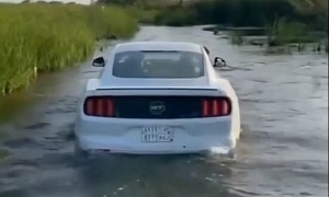 Video: Ford Mustang Goes for a Swim, Must Be a Crowd Nearby